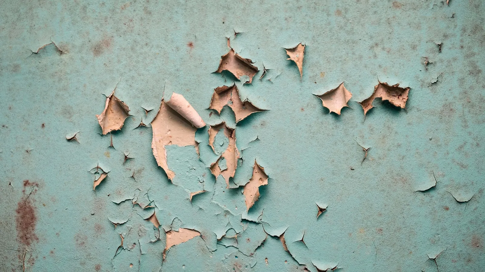 paint peeling off wall