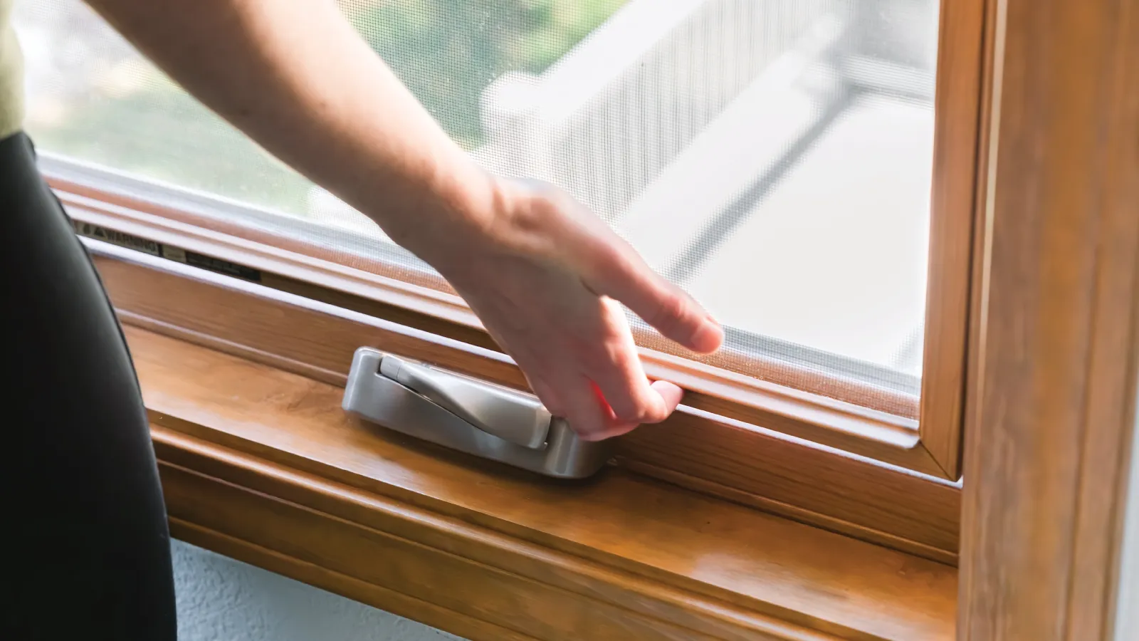 a hand holding a phone