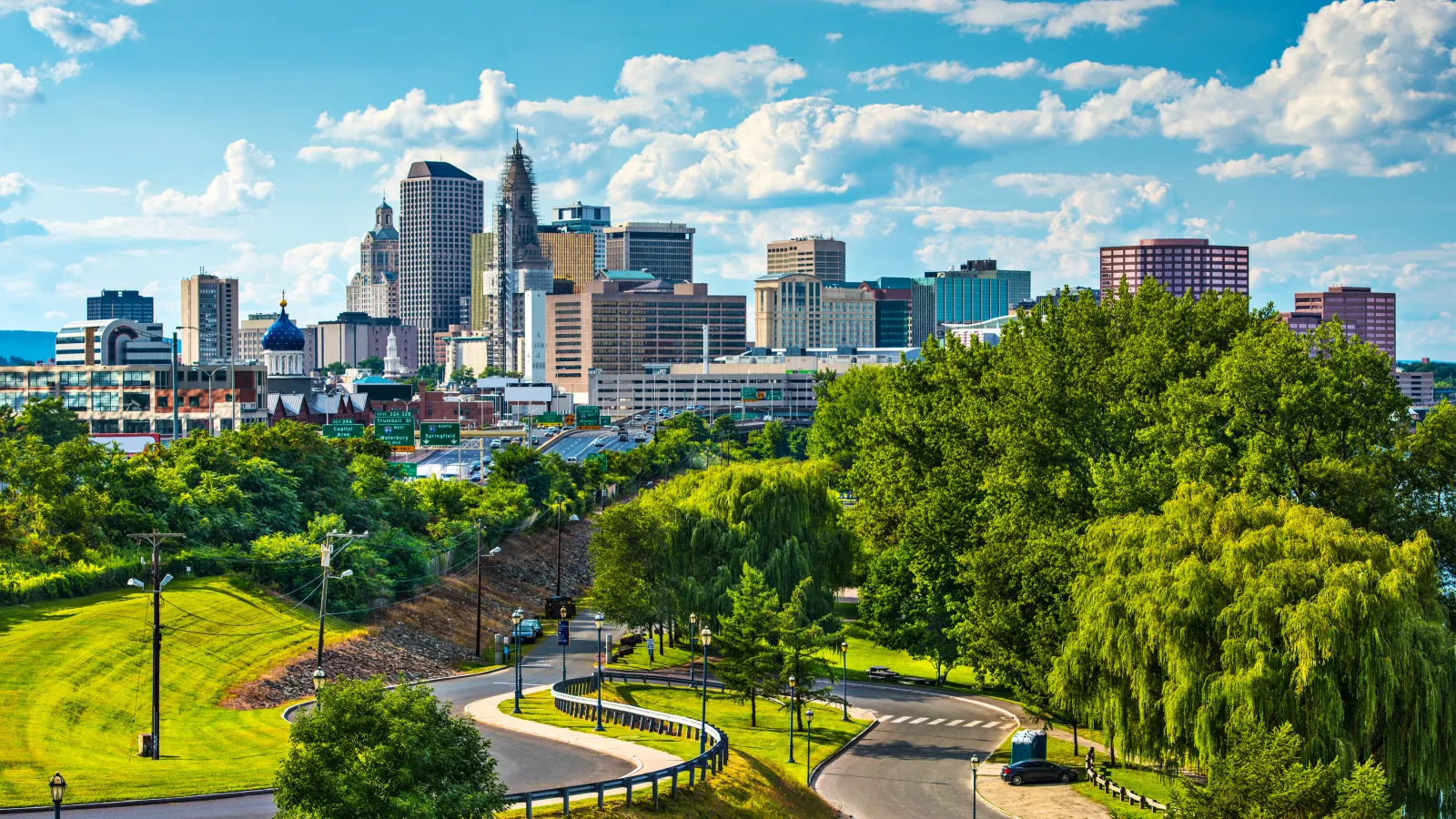 a park with trees and a city in the background