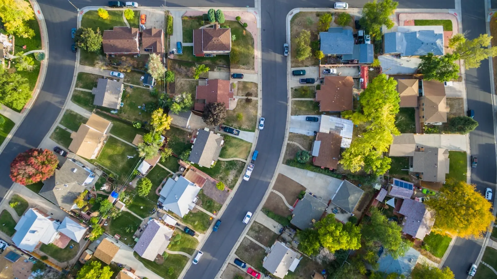 a neighborhood street with trees and houses