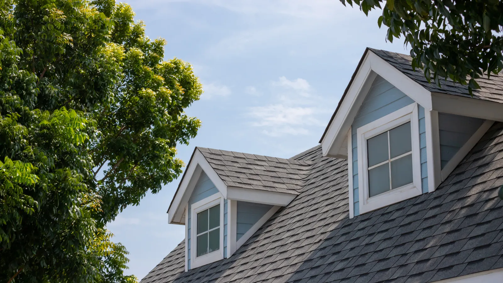 roofing shingles