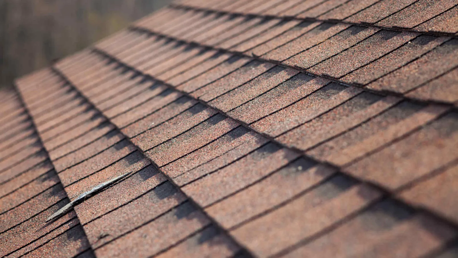 asphalt shingle roofing fort myers florida