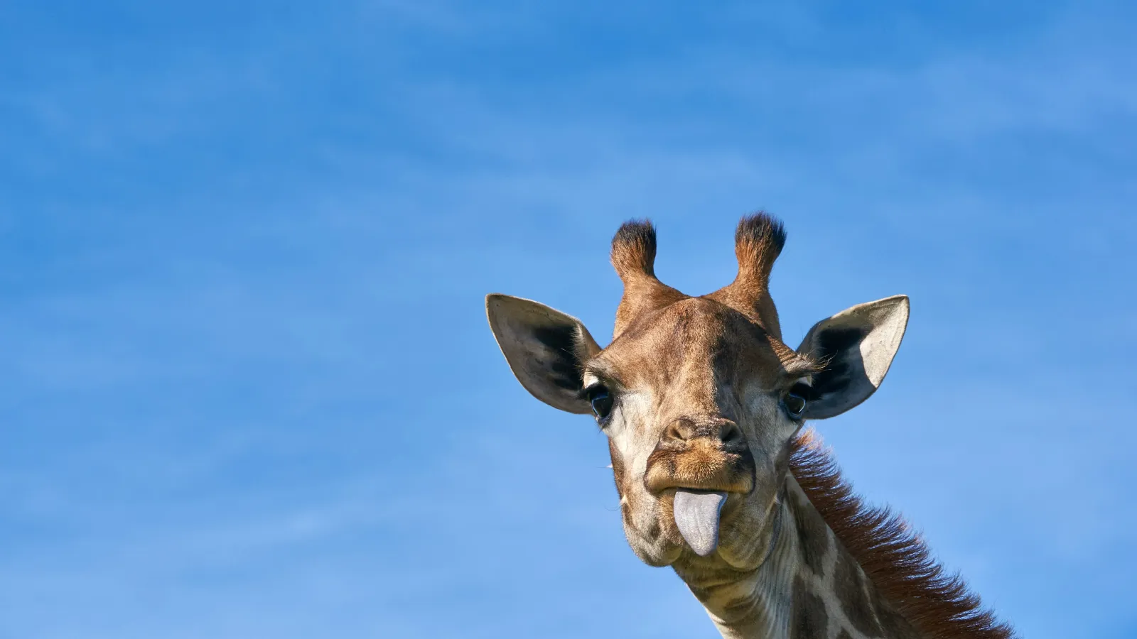 Modern living room with gray sofa, abstract art, metallic side tables, decorative vases, and soft lighting.