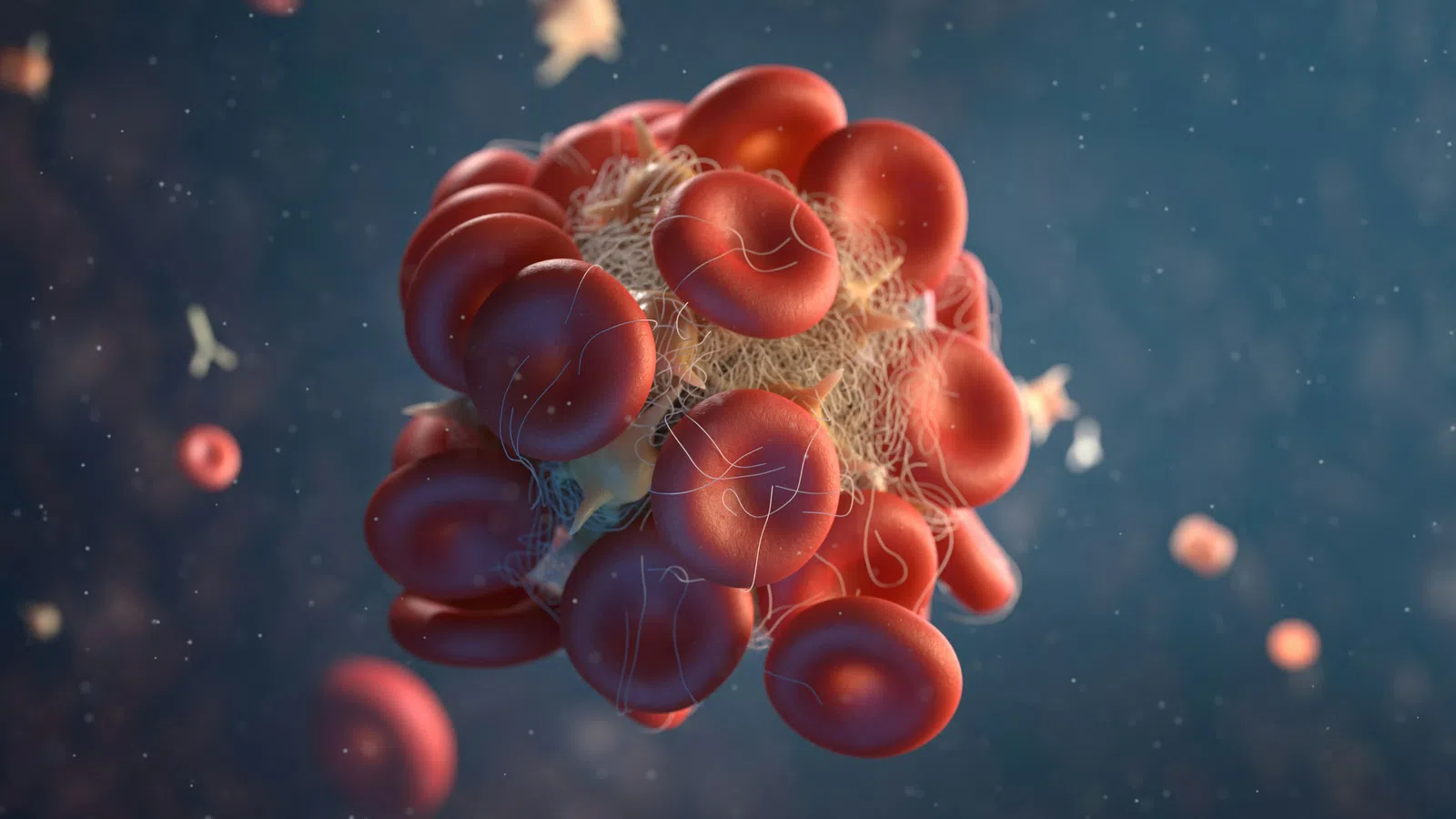 3D illustration of red blood cells entangled in a blood clot with fibrin strands visible in a blue background
