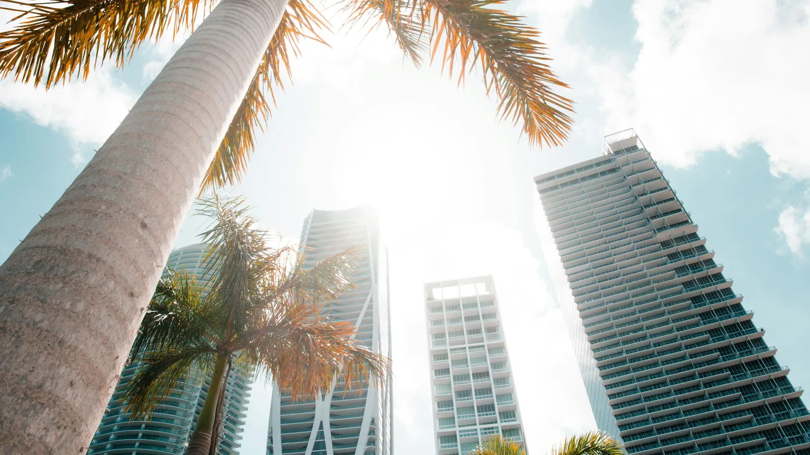 Palm trees and modern skyscrapers under a bright sunny sky in a tropical urban setting.