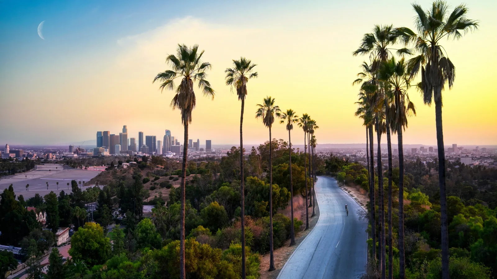 a road with trees and a city in the background