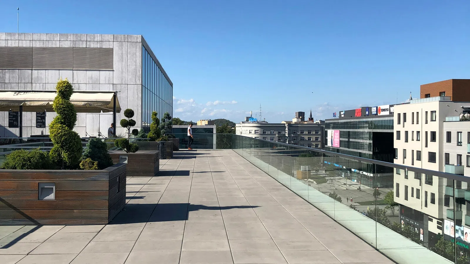 Spacious rooftop terrace with potted plants, glass railing, and urban buildings under a clear blue sky.
