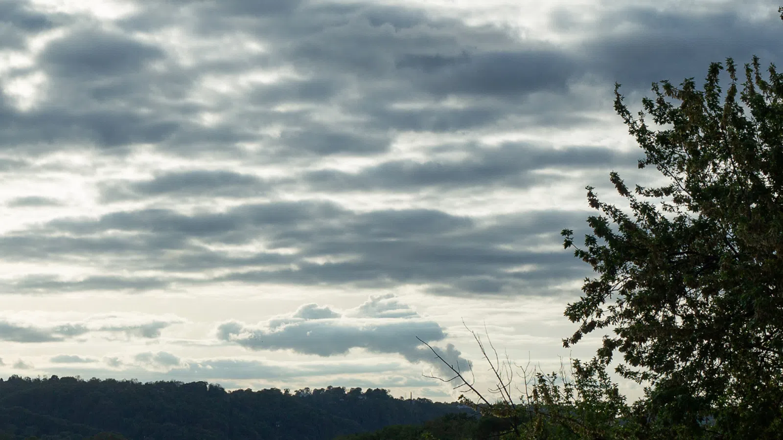 Cloudy sky above tree-covered hills with branches and leaves in foreground at dusk.