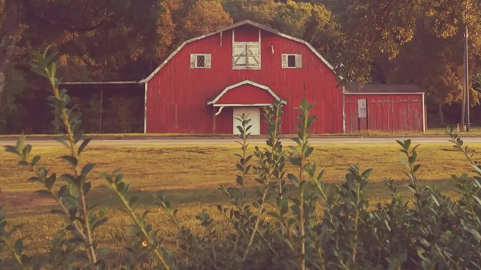 Red barn with white trim surrounded by trees and greenery on a sunny day in rural area.