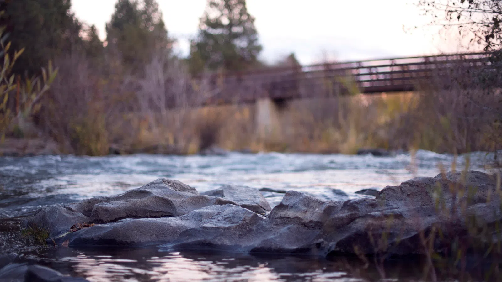 Calm river flowing over rocks with a wooden bridge and pine trees in the background at dusk.