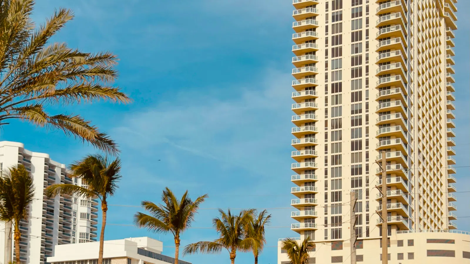 Pink Tesla driving on urban street with palm trees and tall modern buildings under blue sky.