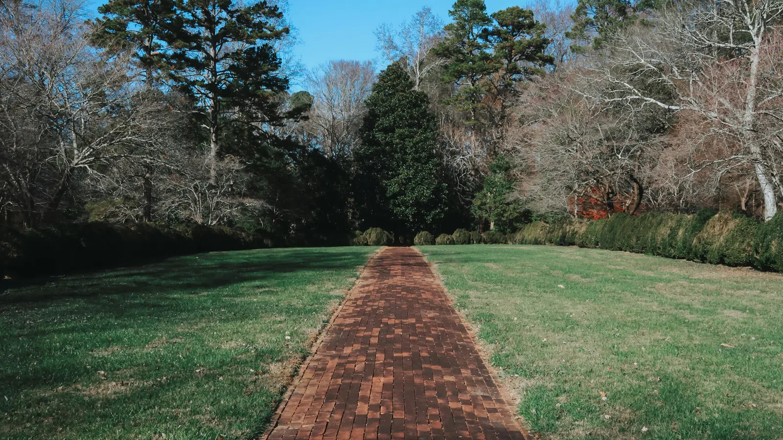 Brick pathway through green lawn leading to tall trees under a clear blue sky in a park