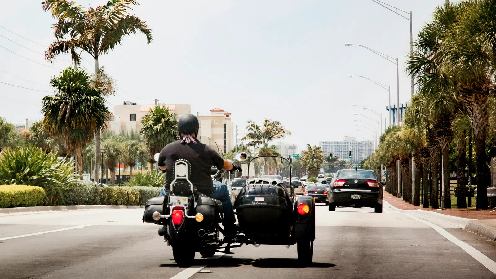 Motorcyclist with sidecar riding on a palm-lined urban road under clear skies.