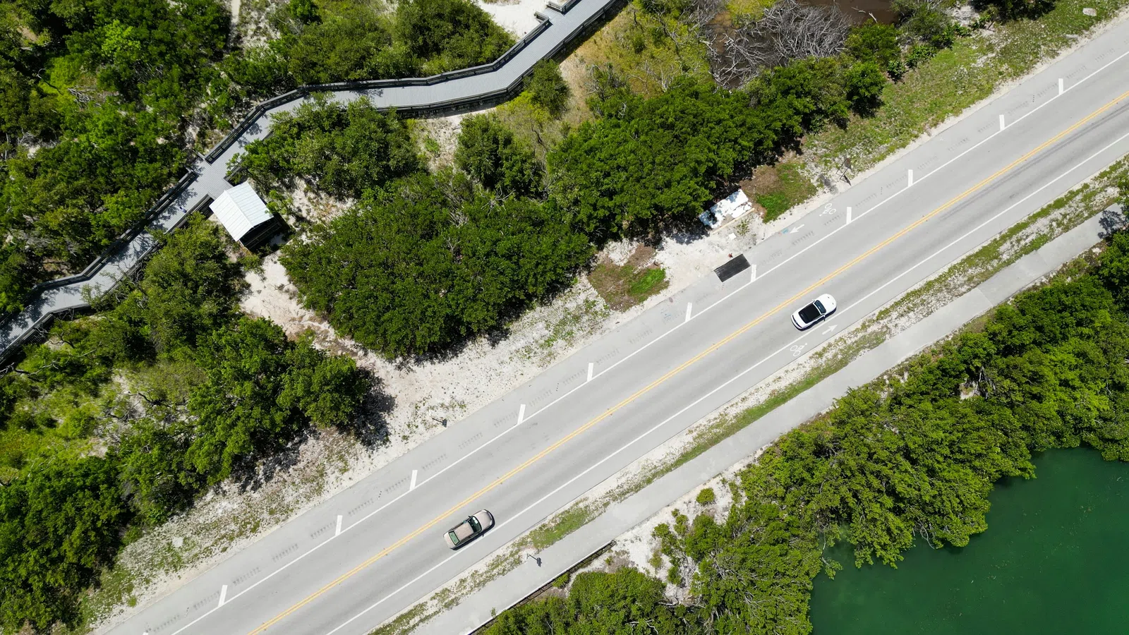 Aerial view of two cars driving on a road surrounded by dense greenery and a body of water.