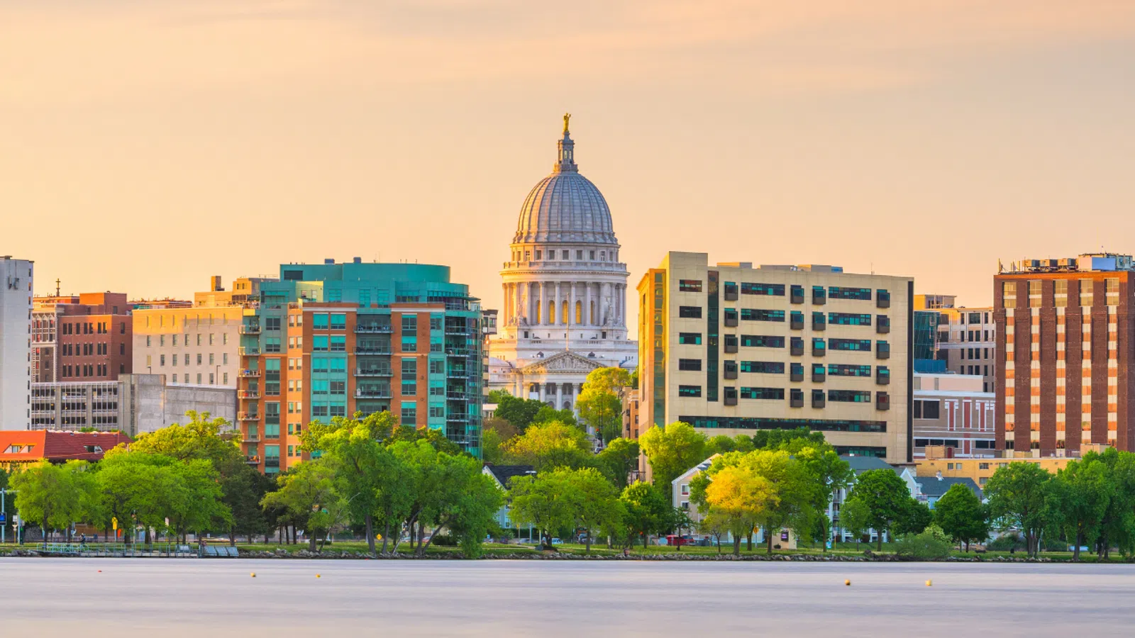 Madison Pest Control, PestNation Pest Control
