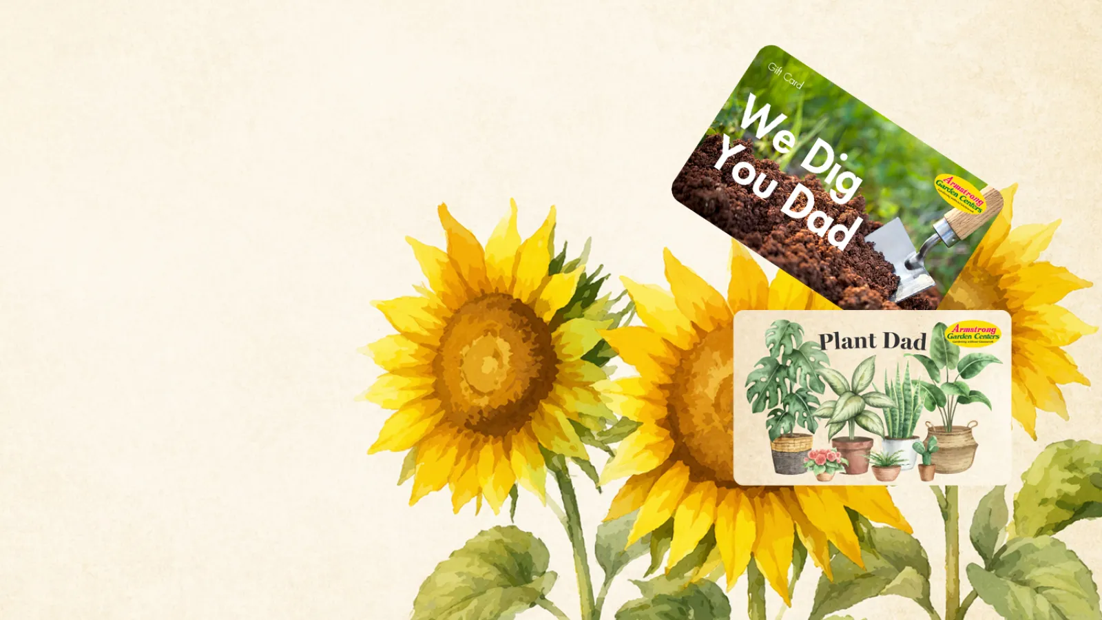 Two Armstrong Garden Centers gift cards with sunflowers in the background on beige textured surface.