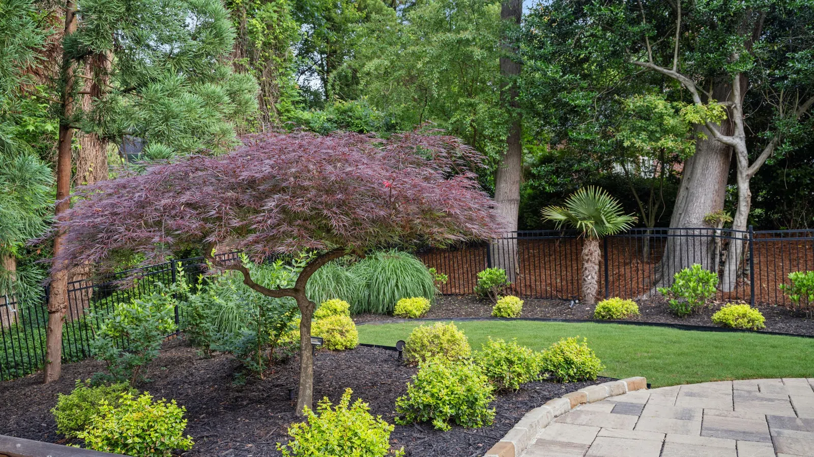 Beautiful landscaped garden with a purple-leafed Japanese maple tree, manicured shrubs, and a stone patio.