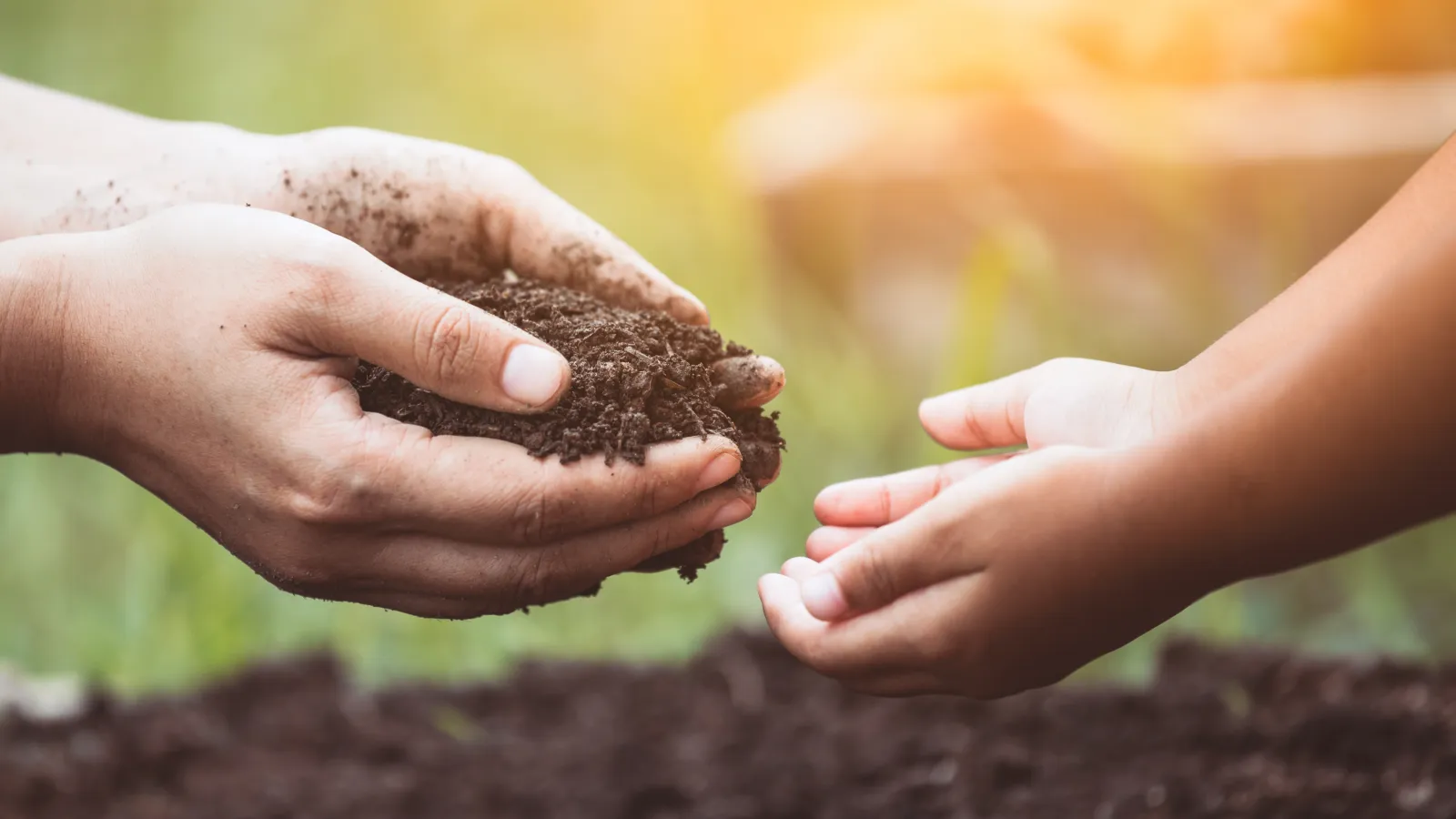 hands holding soil in a circle