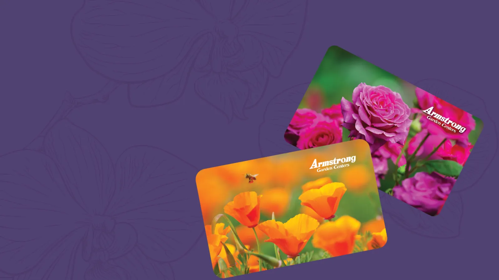 Armstrong Garden Centers gift cards featuring vibrant roses and California poppies on a purple background