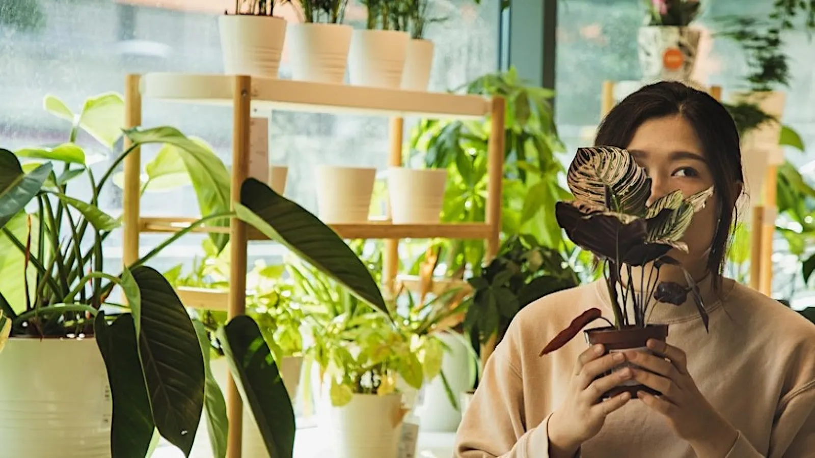 Woman holding a potted plant inside a sunlit plant shop filled with various green houseplants and pots