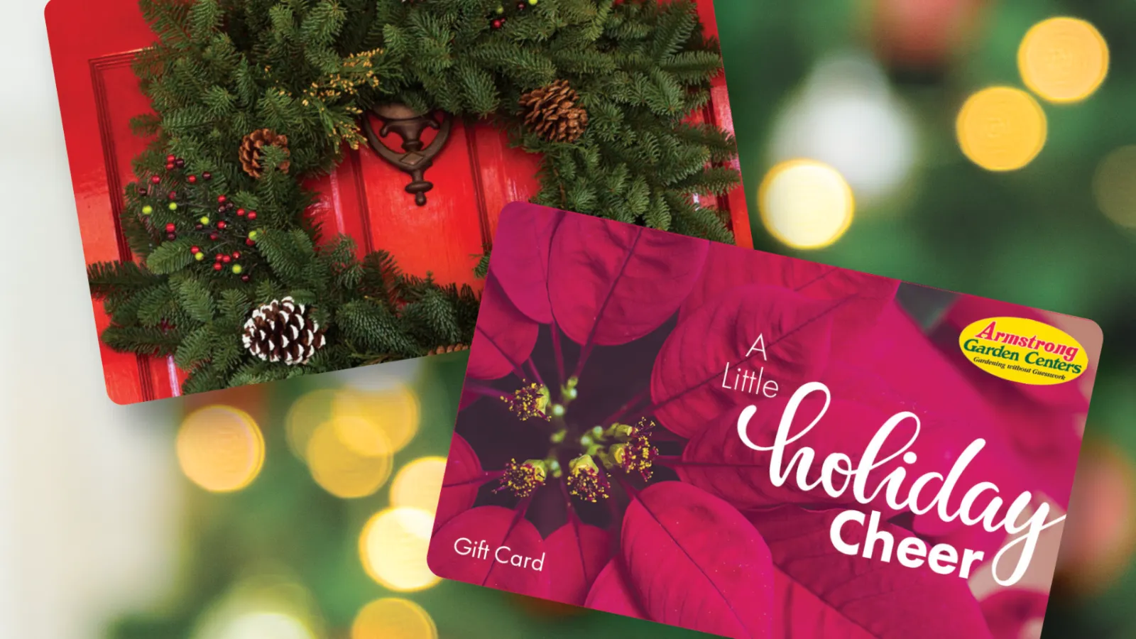 Two Armstrong Garden Centers holiday gift cards featuring a pine wreath and poinsettia with festive background bokeh.