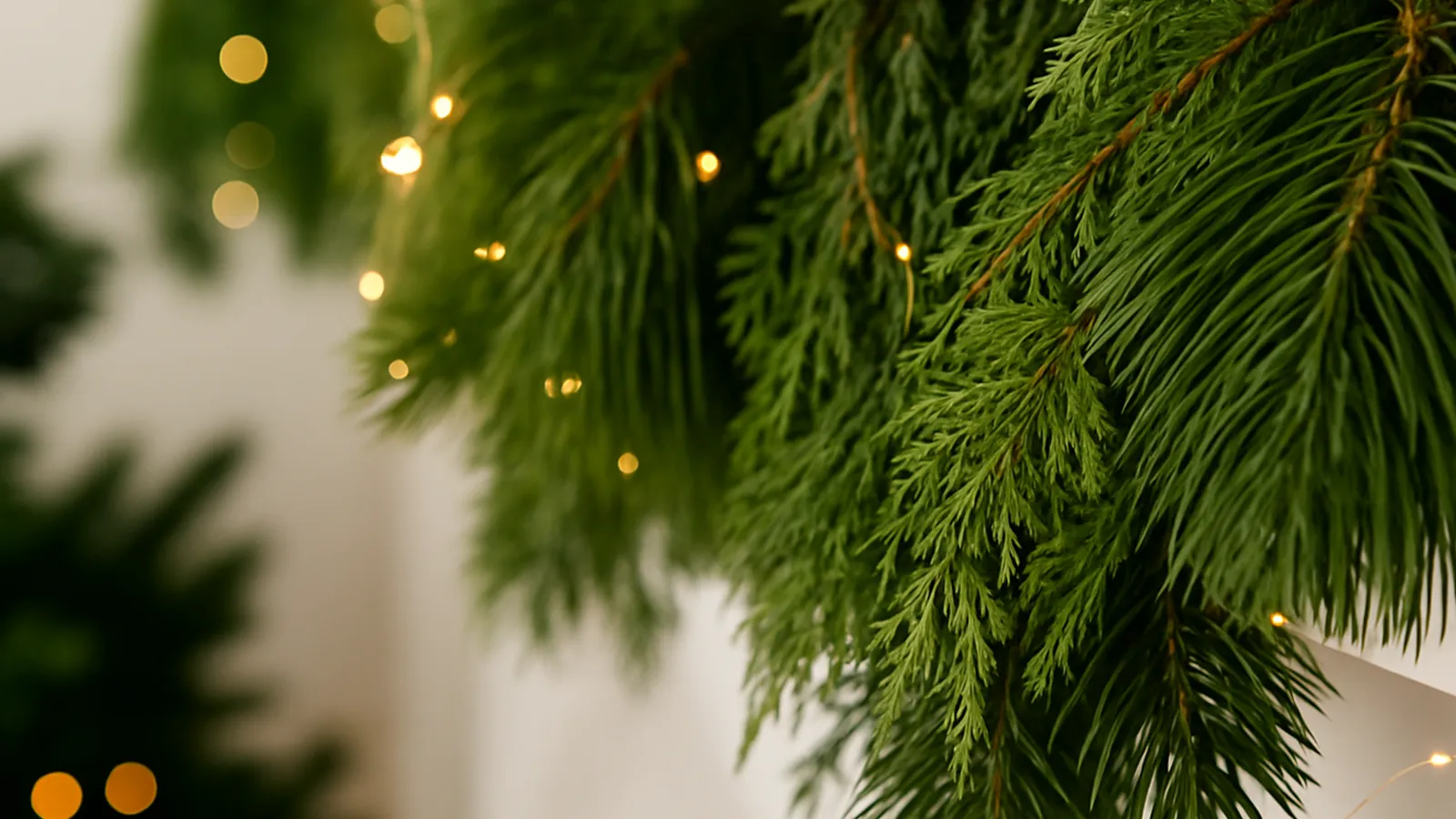 Close-up of green pine and cedar branches decorated with soft glowing fairy lights indoors.