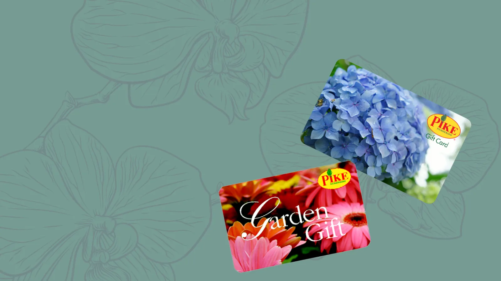 Two Pike Garden Center gift cards featuring colorful flowers on a green floral background.