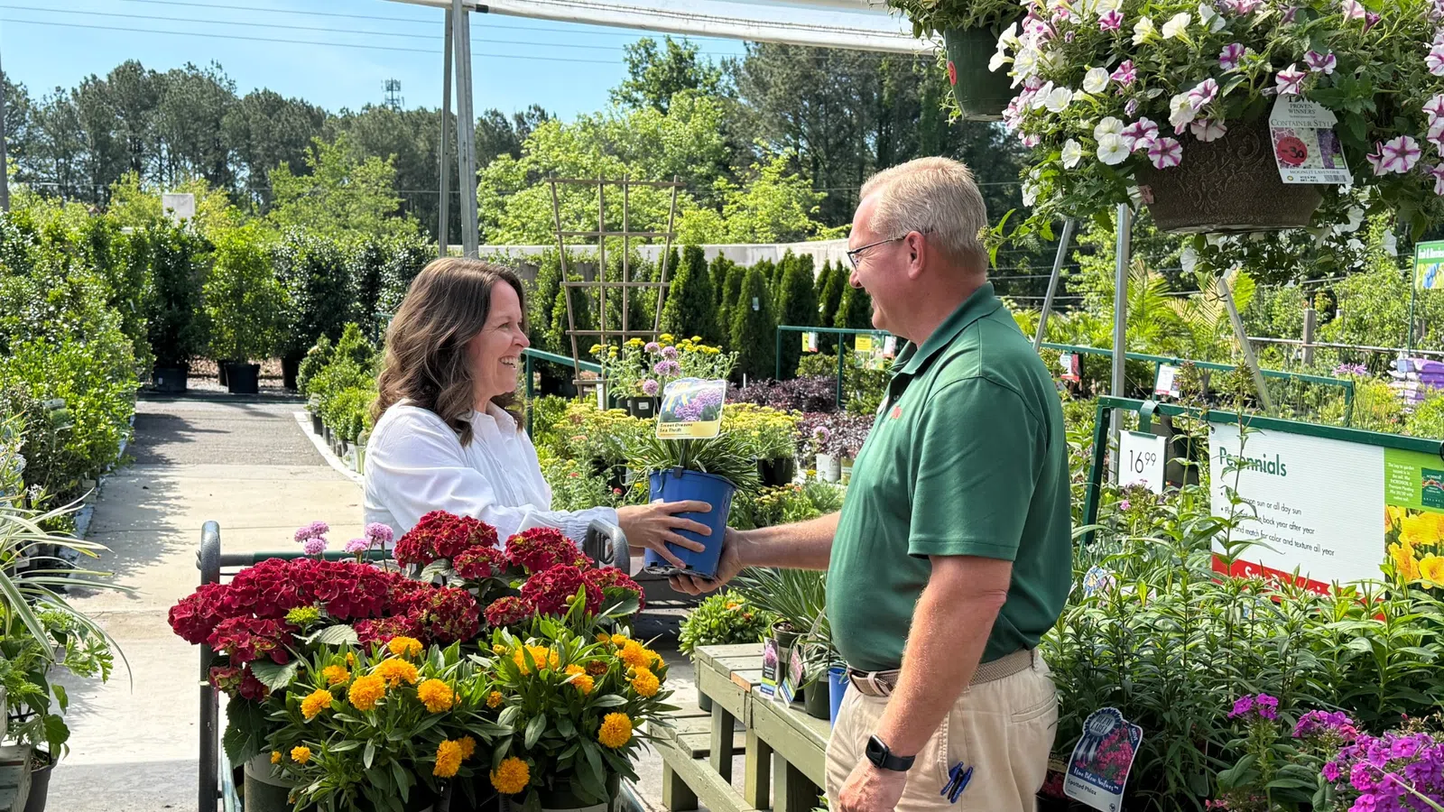 Woman buying potted flower plant from male nursery worker at garden center on sunny day