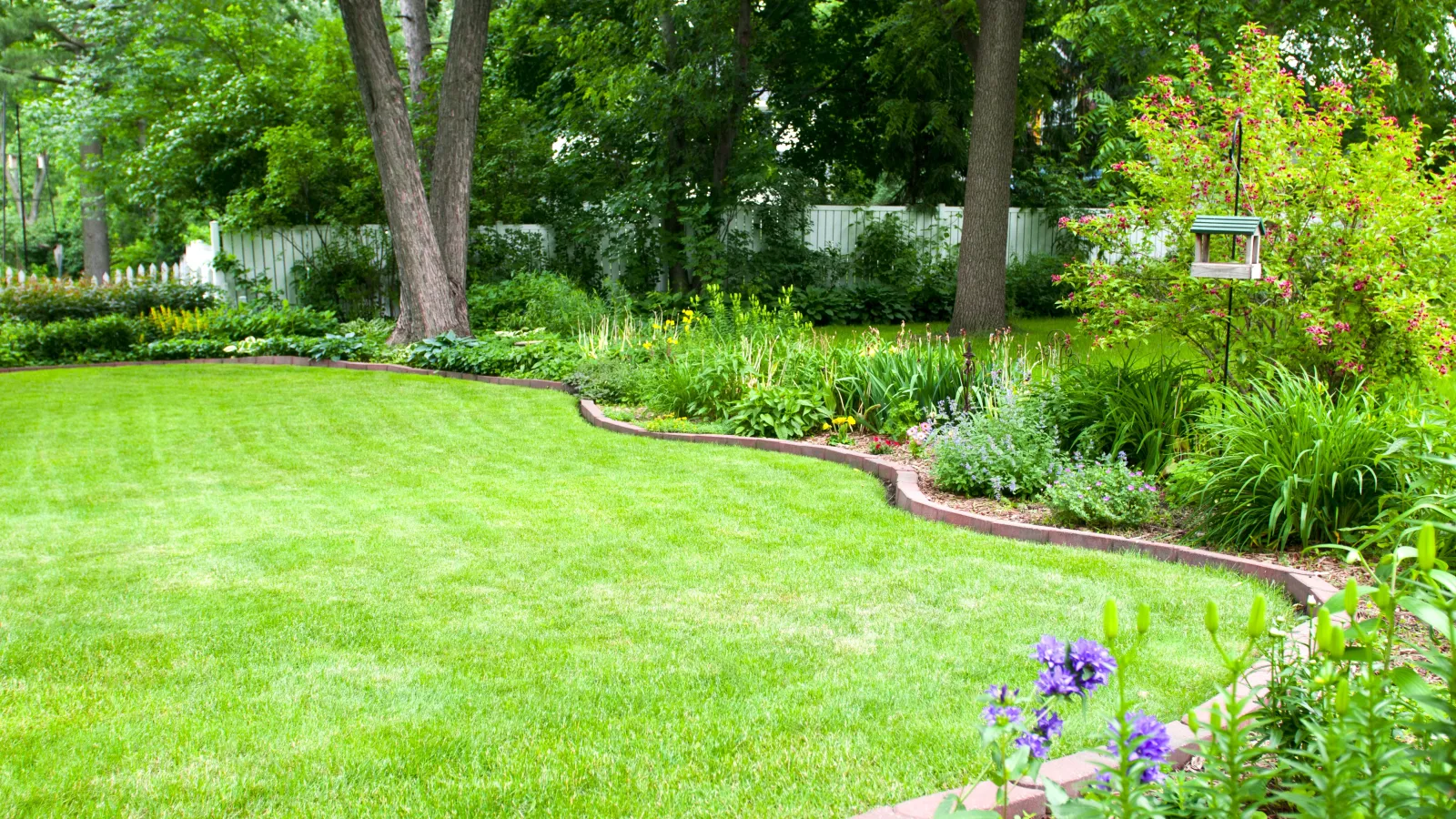 backyard with and garden beds, trees, and grassy areas