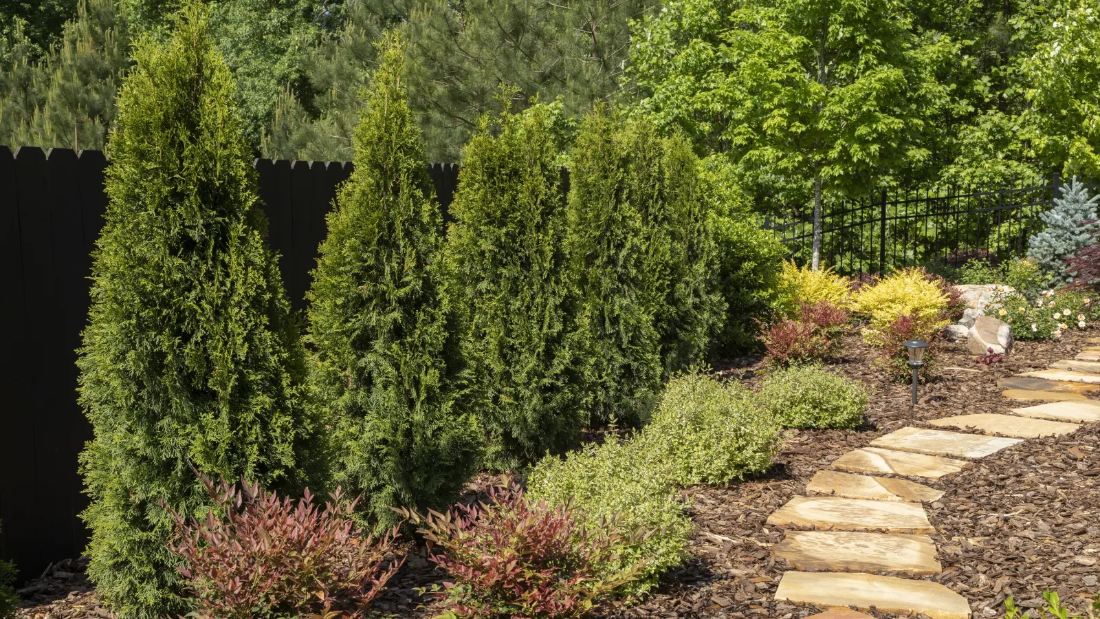 home landscape with shrubs, conifer trees, and a flagstone pathway