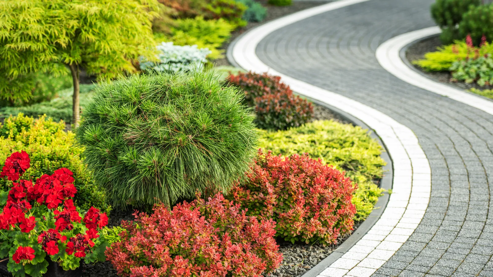 a garden with flowers