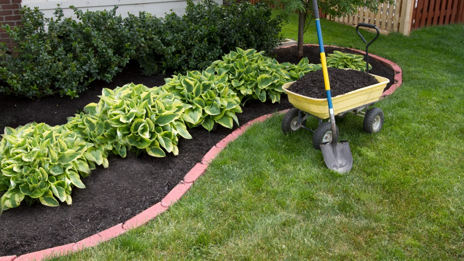 Garden bed with green plants bordered by red bricks next to a yellow cart filled with soil and a shovel on grass.