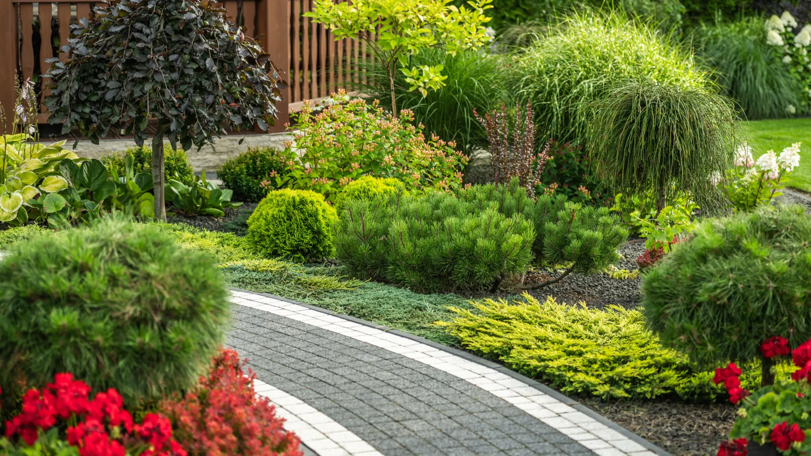 Beautiful garden with blooming flowers and a garden path