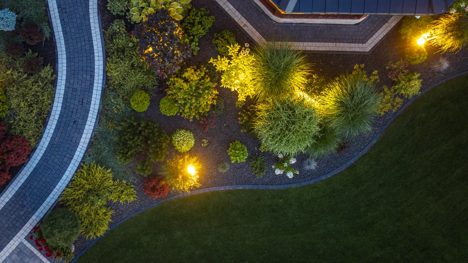 a pool with trees and lights