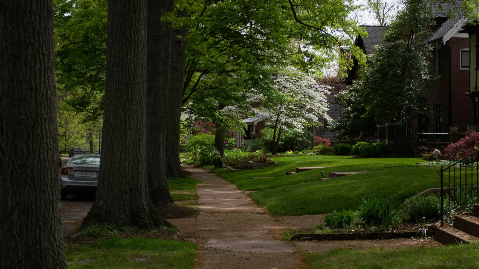 Quiet residential sidewalk lined with large trees, green lawns, and brick houses on a sunny spring day.