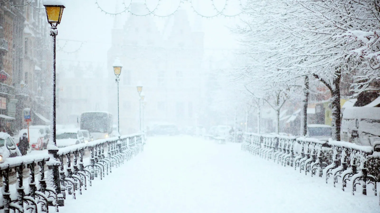 Snow-covered street with lamp posts, benches, and trees heavy with fresh snow in a quiet city scene.