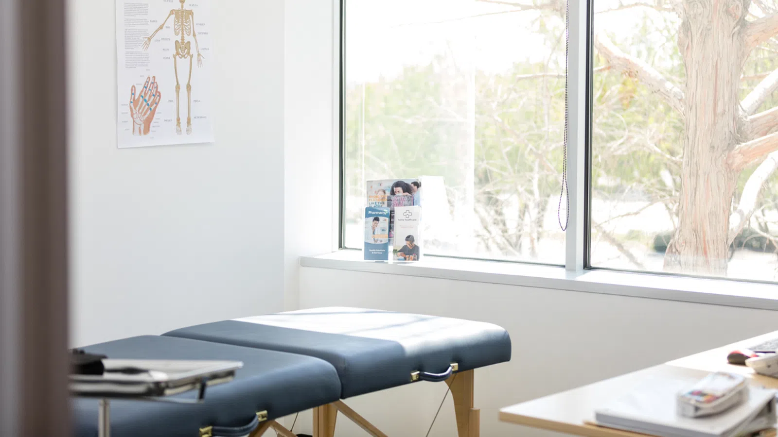 Bright medical examination room with treatment table, skeletal system poster, and large window showing tree outside.