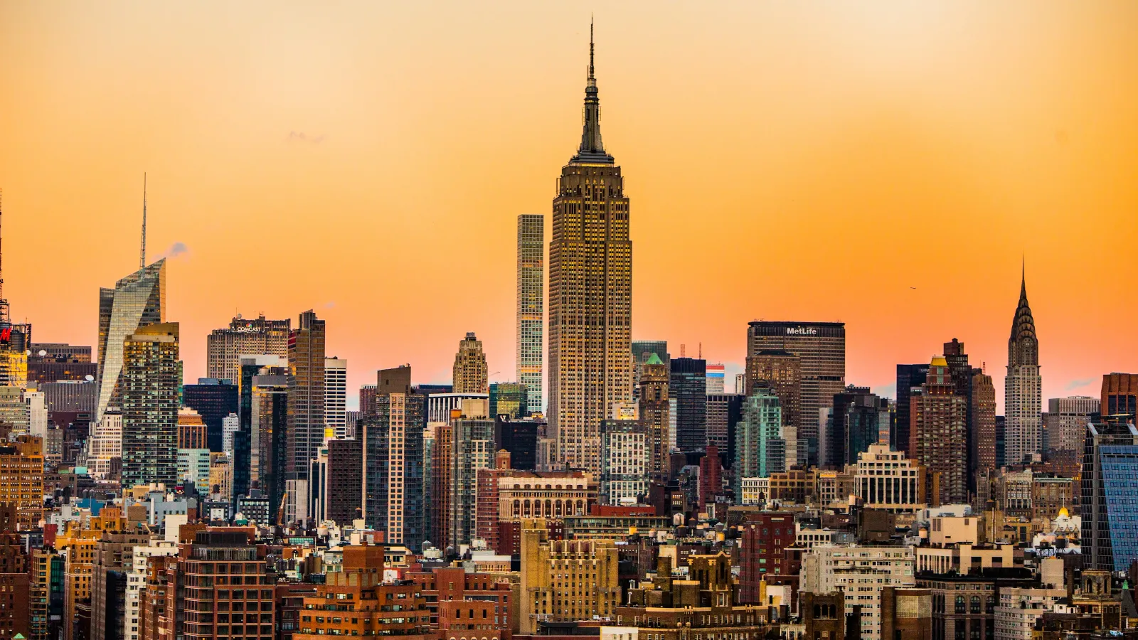 NYC’s trusted SEO agency