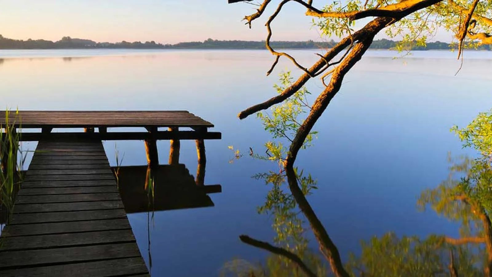 a wooden dock over water