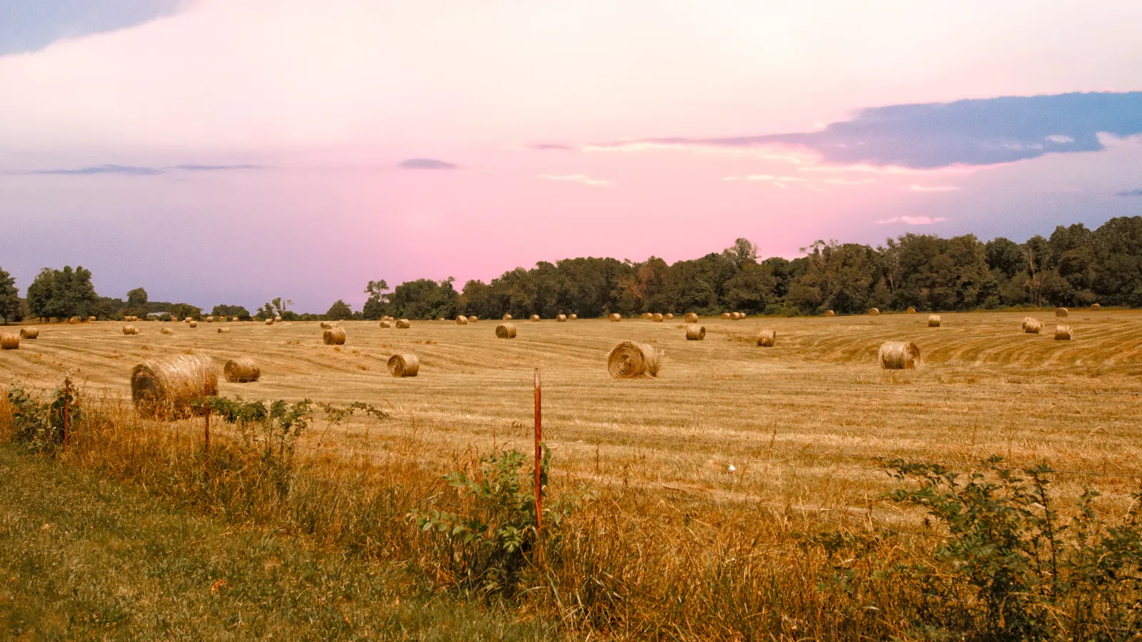 Rural field with scattered hay bales under a pastel pink and purple sunset sky beside green trees.