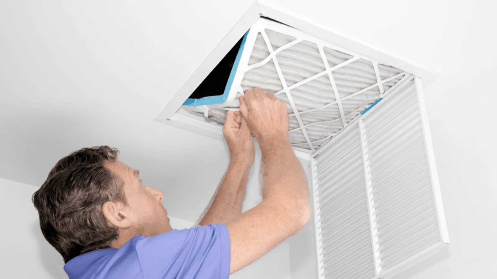 How Do Whole Home Air Purification Systems Work?