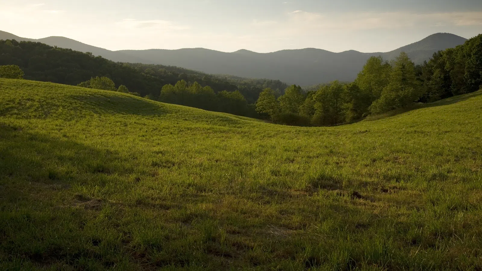 Green rolling hills and trees with mountains in the background under a soft evening sky.