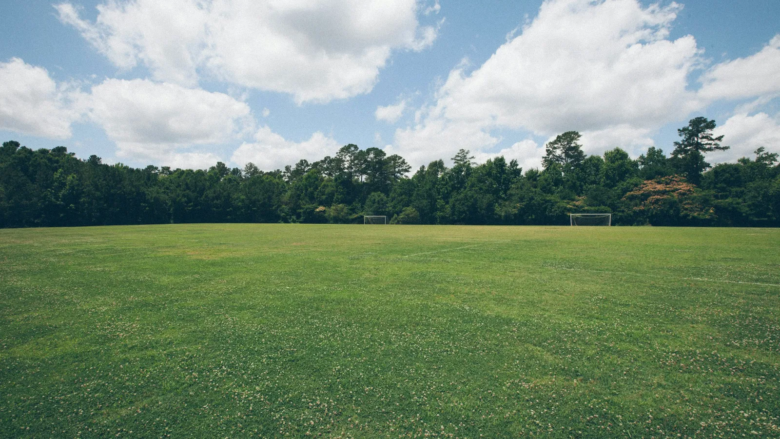 Wide green soccer field with two goals under blue sky and scattered white clouds, bordered by trees.