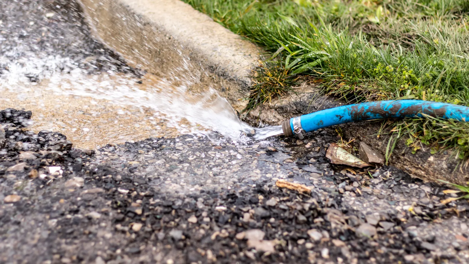 a blue plastic tube in the dirt