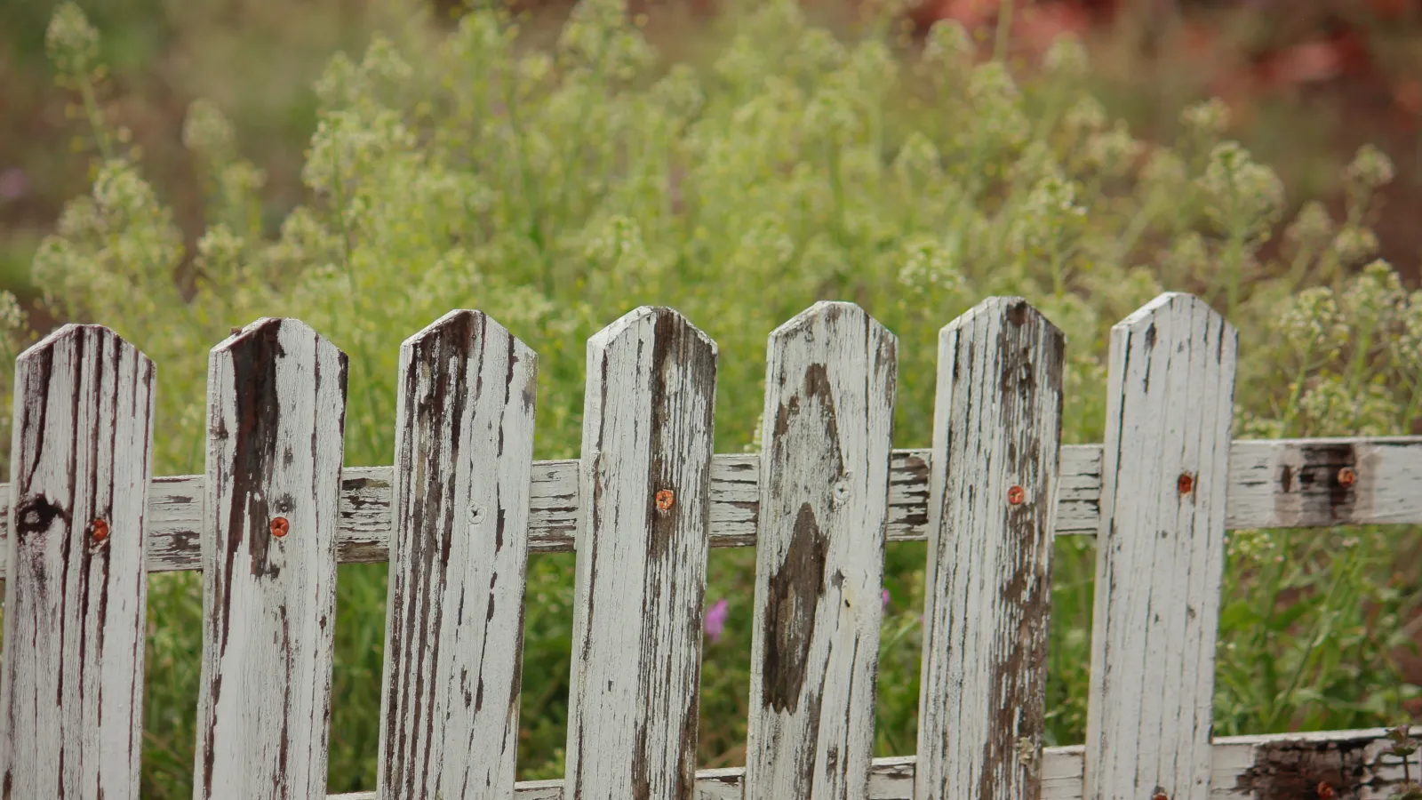 a wooden fence with a sign on it