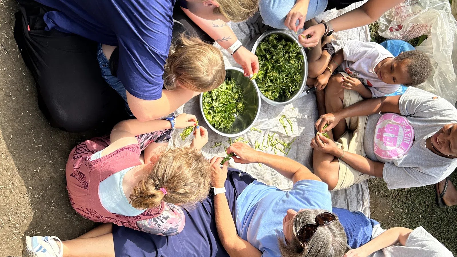 Group of people sitting outdoors on a blanket shelling green peas into large bowls under daylight.