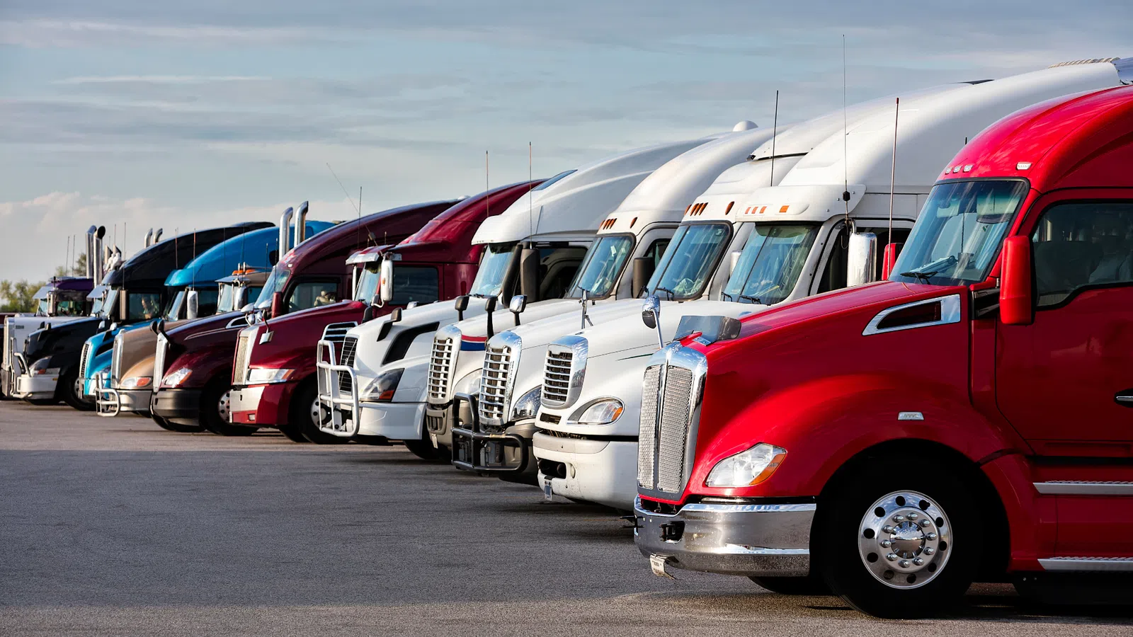 Row of colorful semi-trucks parked side by side under a clear sky in a lot.