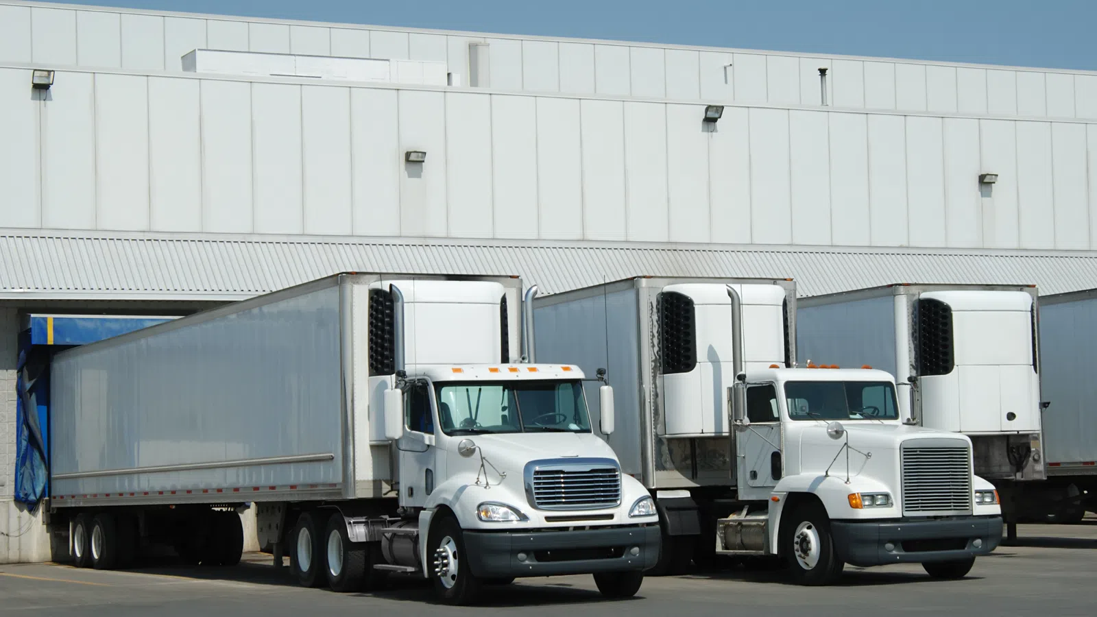 White refrigerated semi-trailer trucks parked at warehouse loading docks under bright daylight.