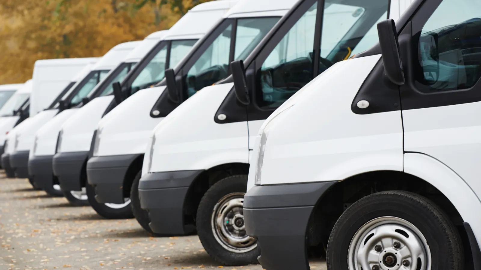 Line of white cargo vans parked side by side on an autumn day with fallen leaves around them