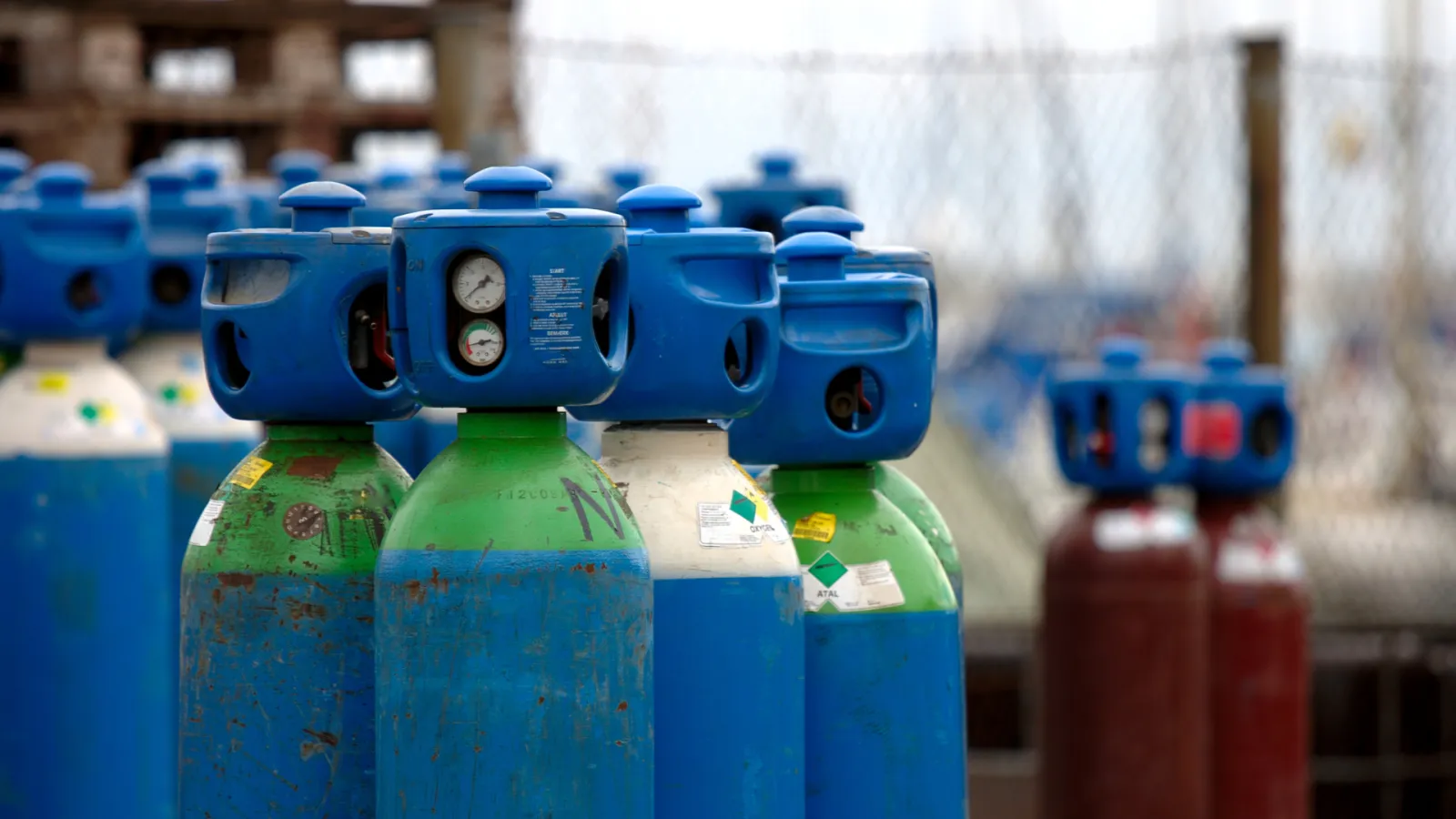 Rows of industrial gas cylinders with blue valves and pressure gauges in an outdoor storage area.
